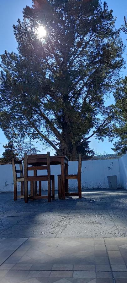 Pinto Terraza Ostello Esquel Esterno foto